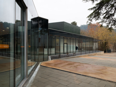 Fundación Alicia - 4